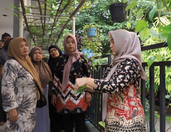 kampung sirih (1)