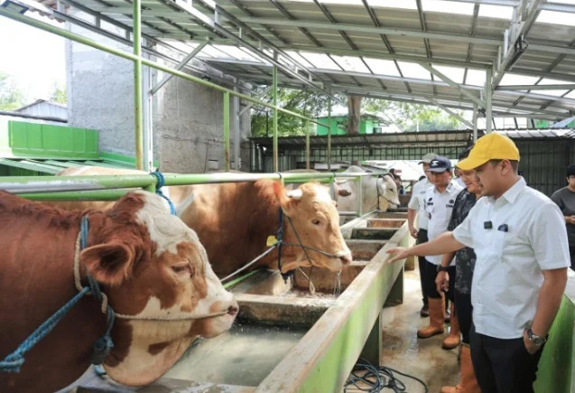 sapi
